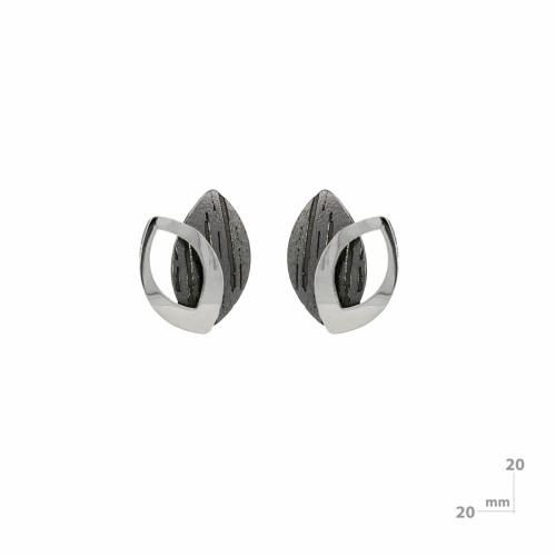 Arracades de plata
